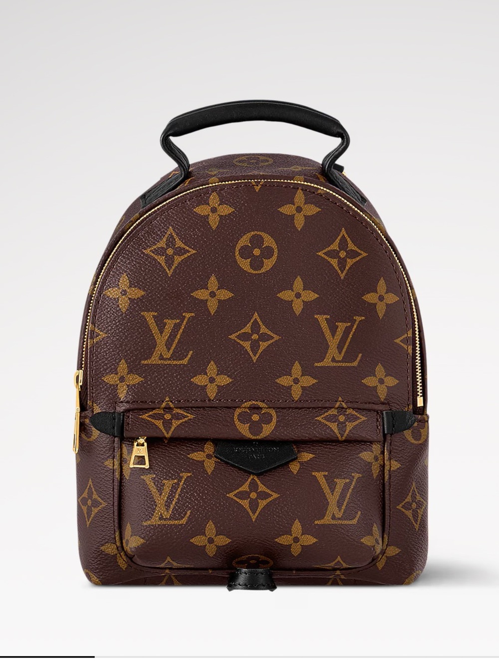 Louis Vuitton Monogram Palm Springs Mini Backpack